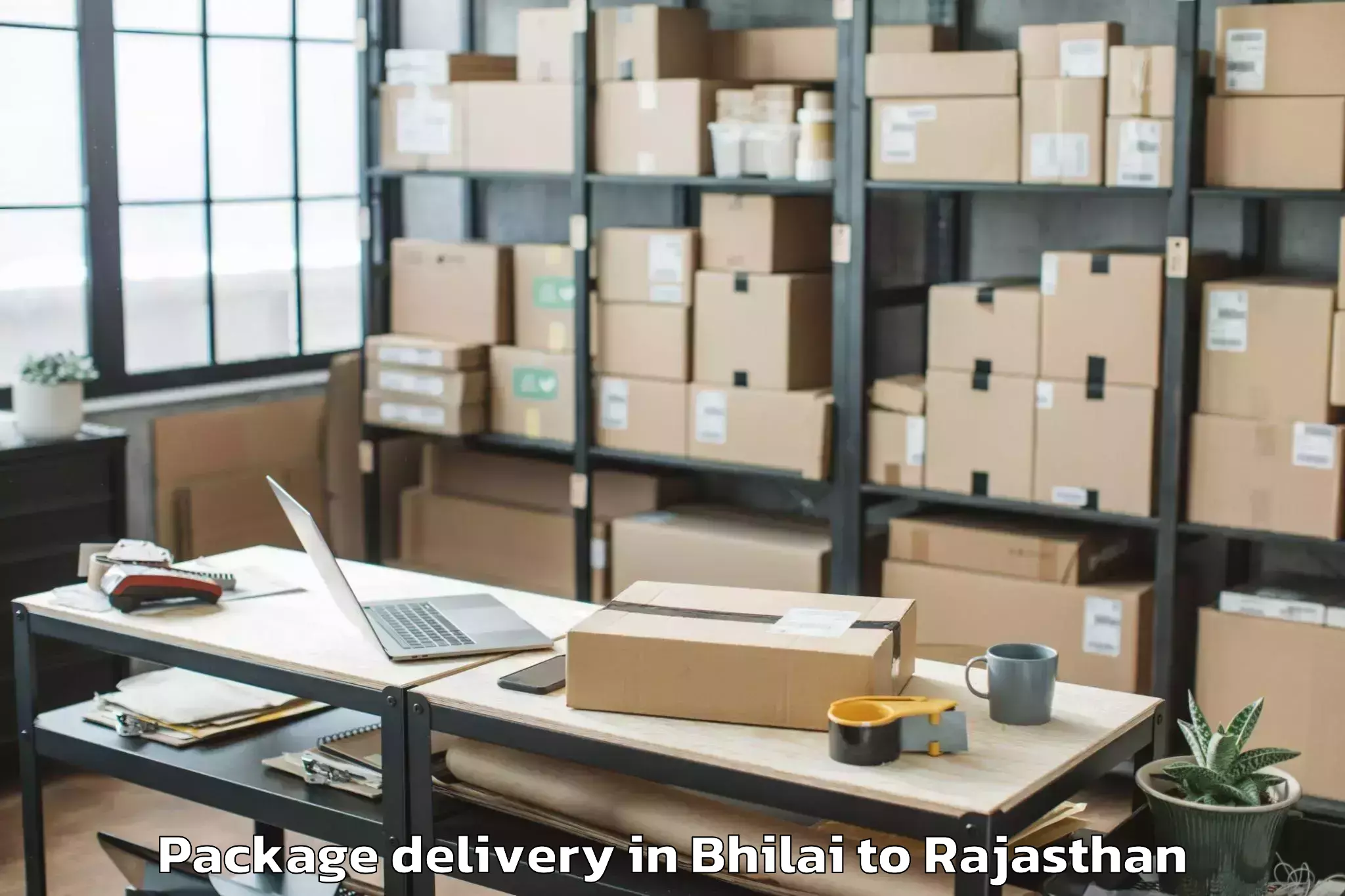 Trusted Bhilai to Beawar Package Delivery